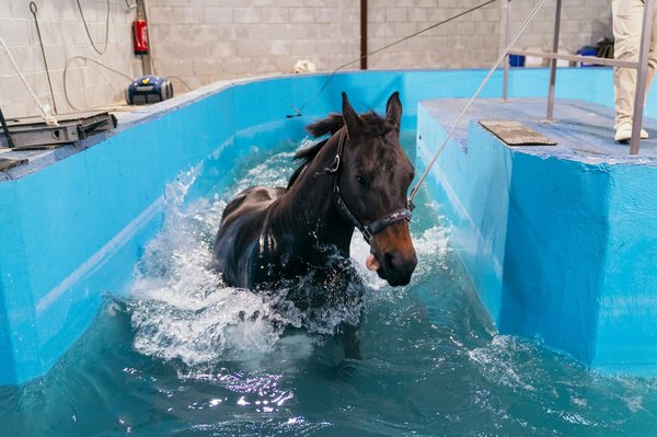 How Can Hydrotherapy Be Used for Recovery in Professional Heavyweight Boxers?
